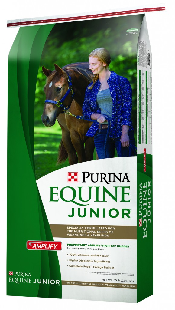 Purina Equine Junior Horse Feed Foreman's General Store