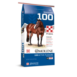 Purina Omolene 100 Horse Feed