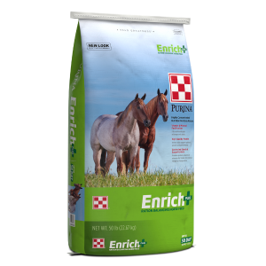 Purina Enrich Plus Ration Balancing Horse Feed. 50-lb green feed bag.