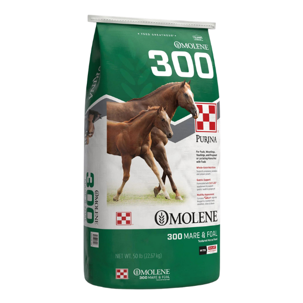 Omolene 300 Horse Feed Purina Foreman's General Store