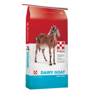 Purina Dairy Goat