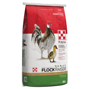 Purina Flock Raiser Medicated 50-lb