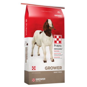Purina Goat Grower