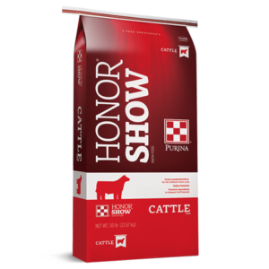 Purina Honor Show Cattle