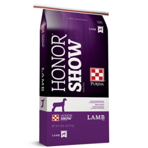 Honor Show Lamb