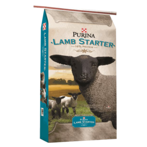 Purina Lamb Starter