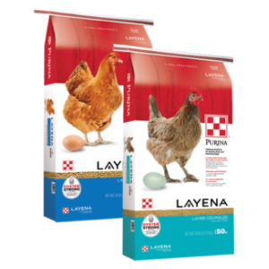 Purina Layena Crumbles. Poultry feed bag product grouping.