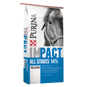 Purina Impact All Stages 14% Pelleted. Blue 50-lb equine feed bag.