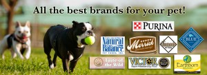 Natural Balance Dog Food