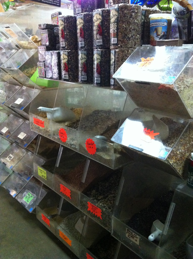 Bulk Wild Bird Seed Foreman's General Store