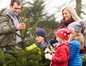 Family selecting Fresh Cut Christmas Trees