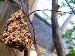 peanut-butter-pinecone