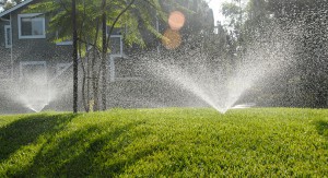 toro-water-lawn-after-aeration-300x163