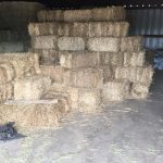 Cold Weather Supplies: Straw and Hay Bales