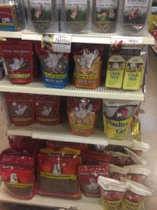 Chicken Supplies | Chicken Treats | Foreman's General Store