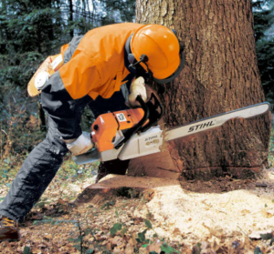 Cold Weather Chainsaw Operation