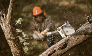 Stihl HT 56 C-E Pole Pruner