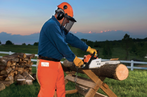 Stihl MS 170 Chainsaw