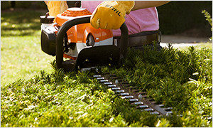 Stihl Hedge Trimmer Savings at Foreman's Inc. in Colleyville, TX
