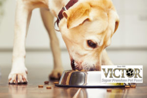 Victor Pet Foods