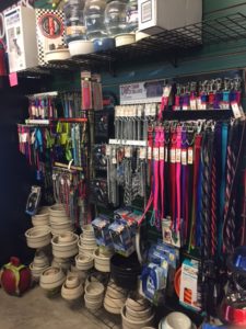 Pet Leashes and Collars | Foreman's General Store