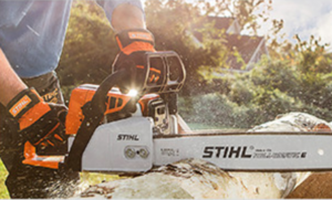 MS 250 Chainsaw