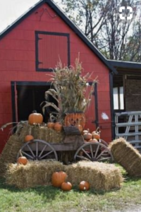 Straw Bales