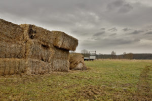 garden straw bales