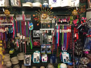 Dog Leashes | Foreman's General Store
