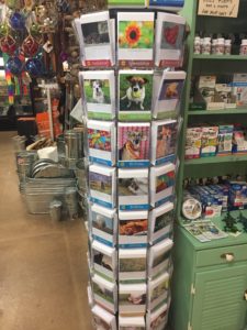 Greeting Cards | Foreman's General Store