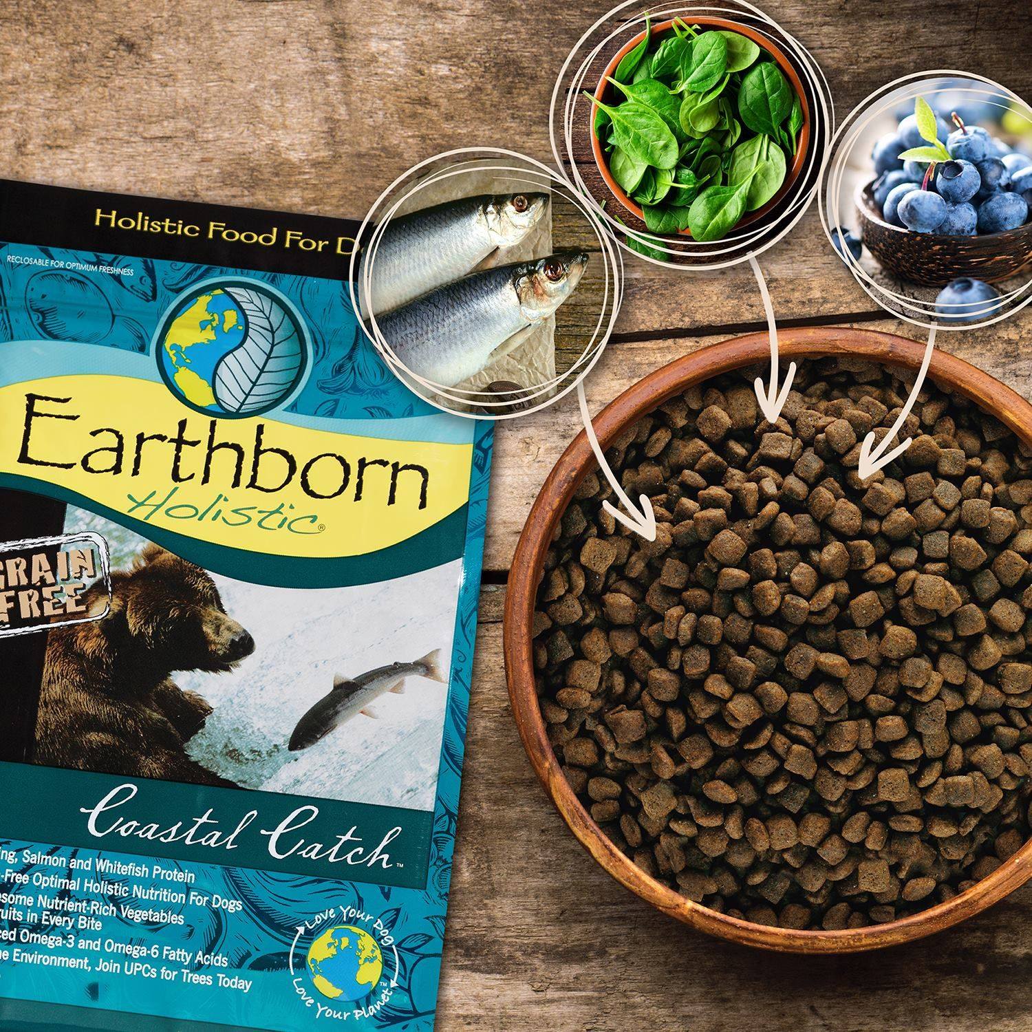 earthborn cat food near me