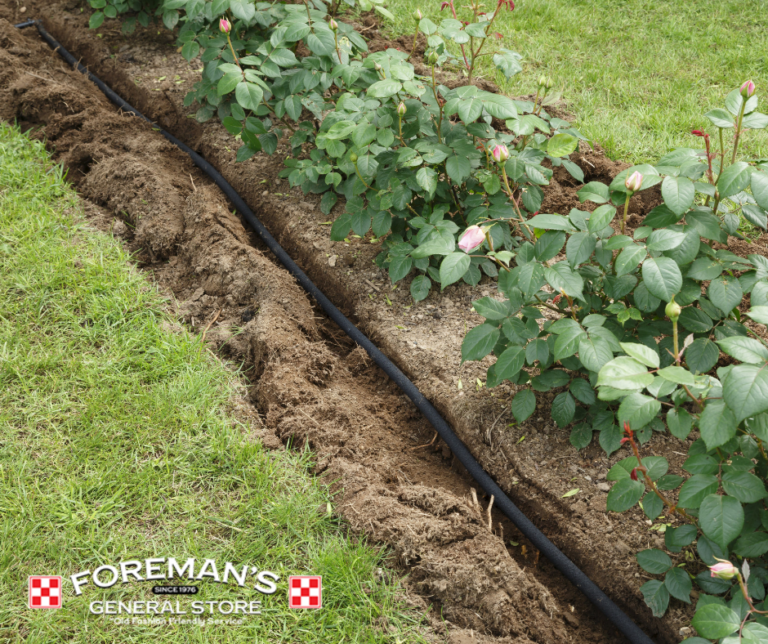Benefits of Soaker Hoses Foreman's General Store