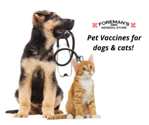 Dog and Cat Vaccines are now available at Foreman's General Store.