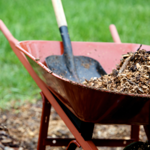 Types of Mulch